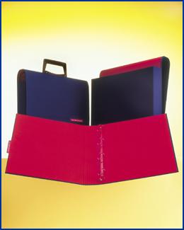 cloth suitcase, box and slipcase and folder with c, d ringbinder, in blue and red