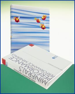 white pvc folder and ring binder printed like paper