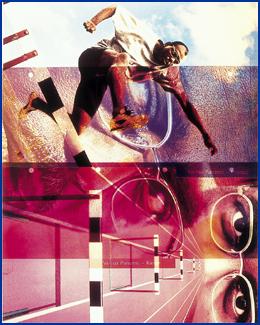 poly frosted dividers in full colour